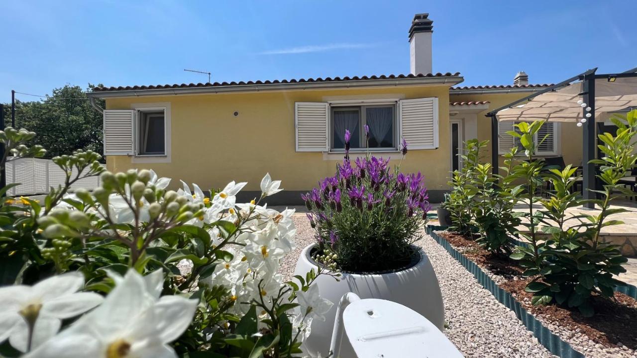 House Roca Apartment Водице Екстериор снимка